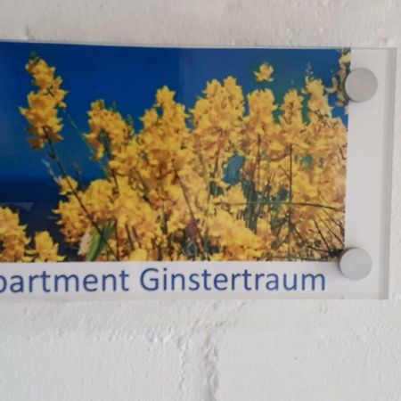 Appartement Ginstertraum Lüneburg Exteriér fotografie